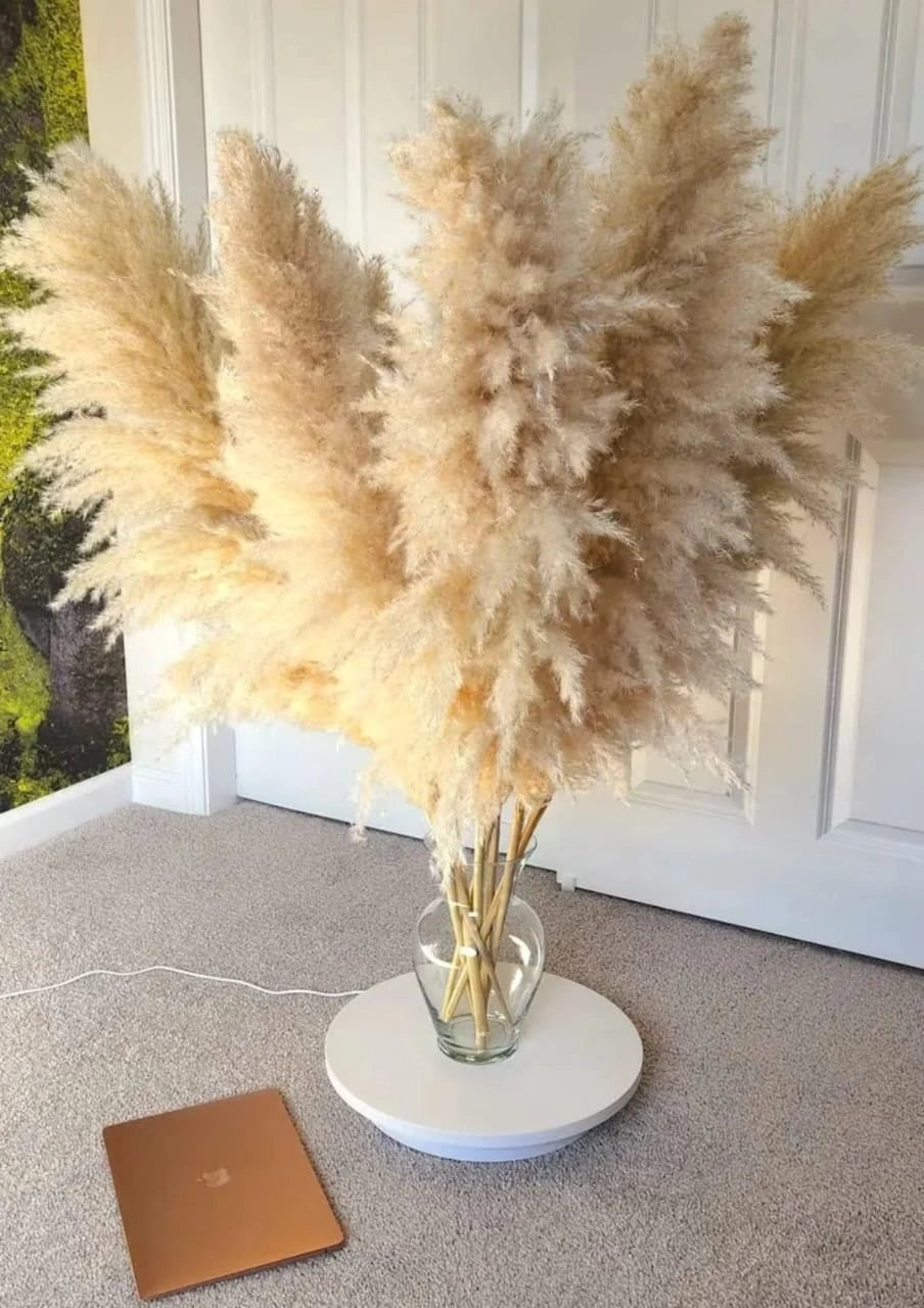 Fluffy Large Pampas Grass Decorative Stems