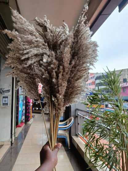Natural Pampas Grass Stems – Rustic Luxury Home Decor