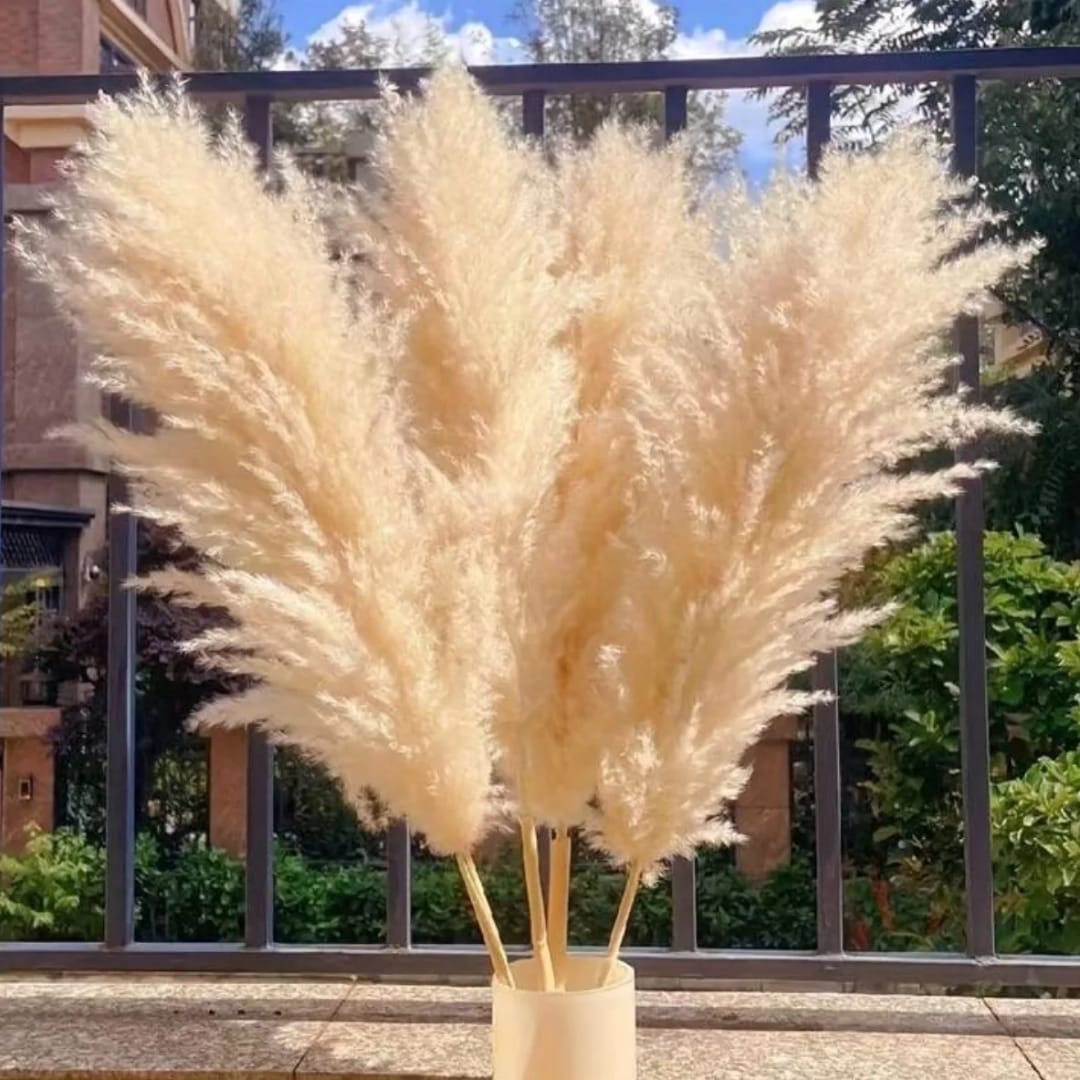 Fluffy Pampas Grass Stems – Natural Beige Boho Home Decor