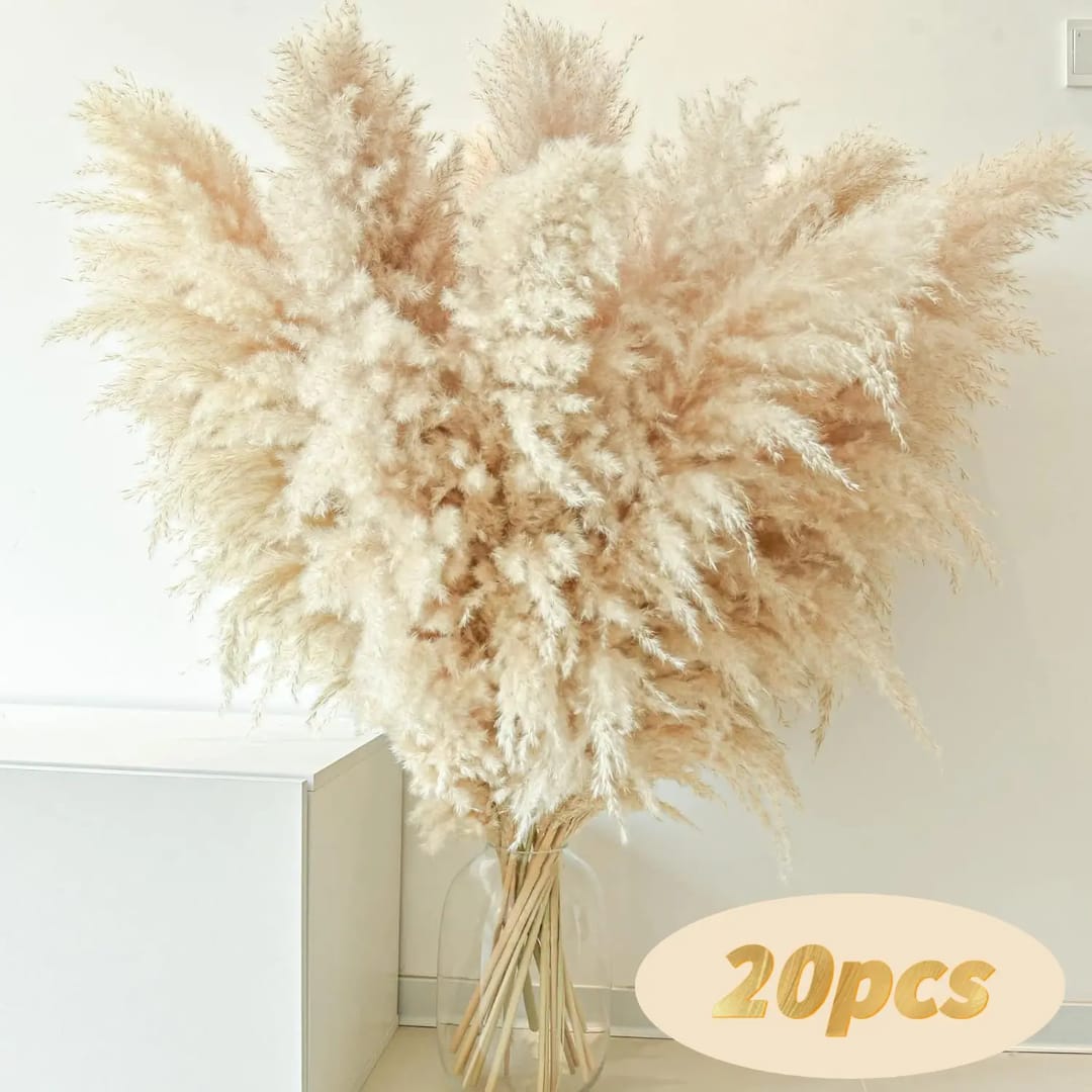 Fluffy Pampas Grass Stems – Natural Beige Boho Home Decor