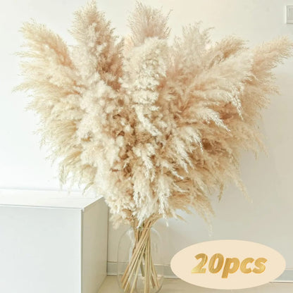 Fluffy Pampas Grass Stems – Natural Beige Boho Home Decor
