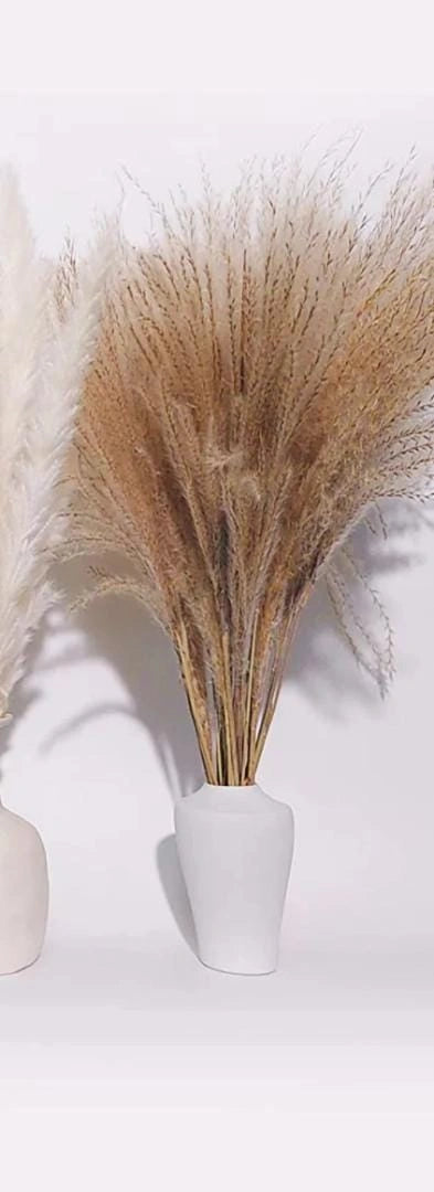 Natural Dried Reed Mini Pampas Grass – Decorative Vase Fillers