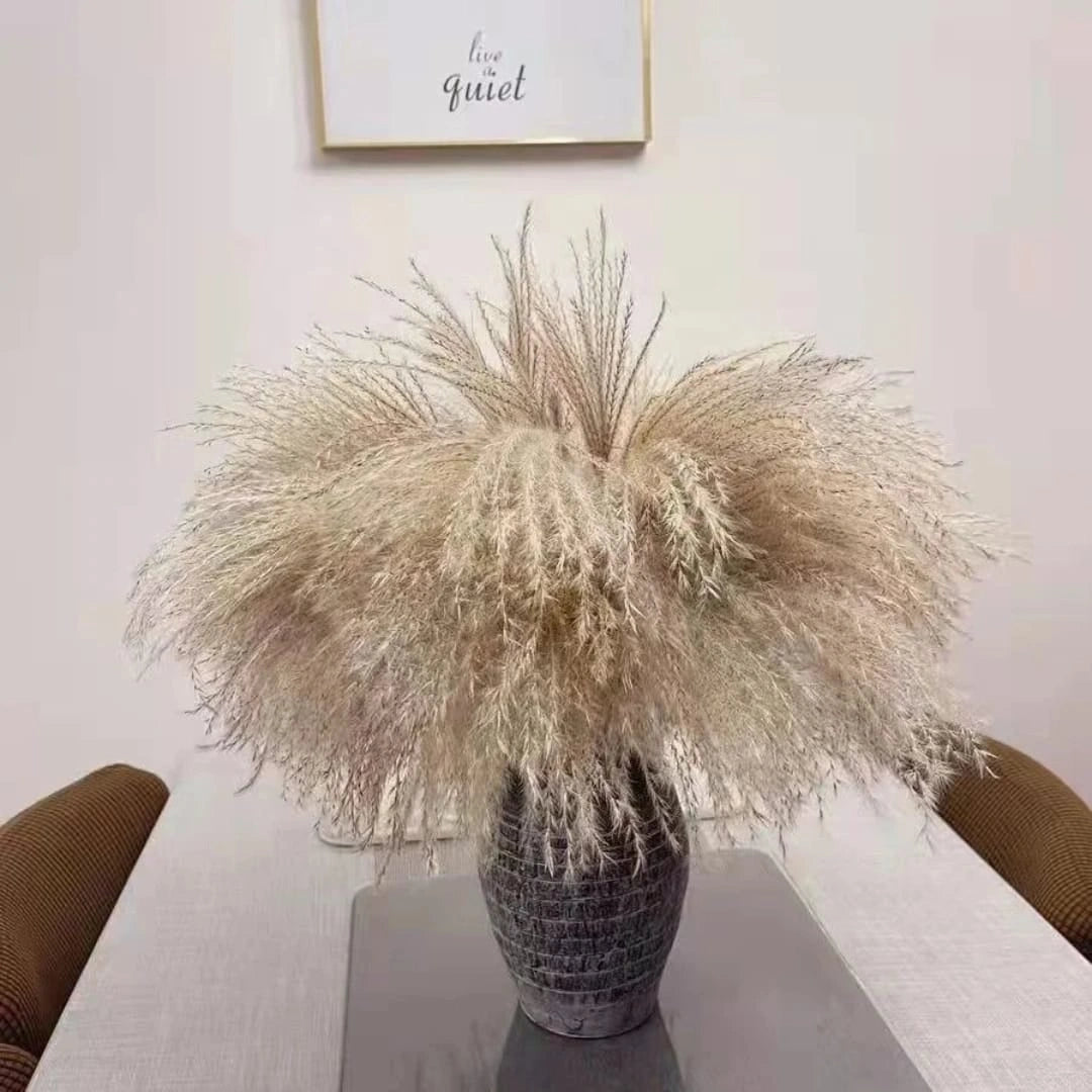 Natural Dried Reed Mini Pampas Grass – Decorative Vase Fillers