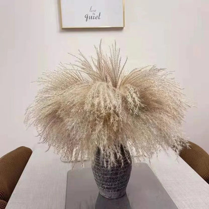 Natural Dried Reed Mini Pampas Grass – Decorative Vase Fillers