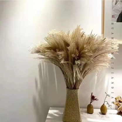 Natural Dried Reed Mini Pampas Grass – Decorative Vase Fillers