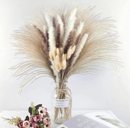 Natural Dried Reed Mini Pampas Grass – Decorative Vase Fillers