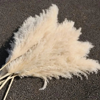 Fluffy Large Pampas Grass Decorative Stems
