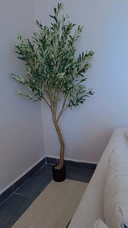 New Design Decorative Artificial Olive Plant