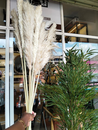 Fluffy Large Pampas Grass Decorative Stems